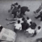 7 luglio 1960 : I martiri di Reggio Emilia